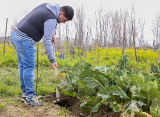 Una testimonianza dalla Masseria