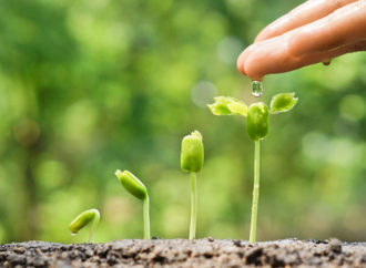 Le facoltà che guardano ai lavori green