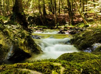 In Calabria due Oscar per l’Ecoturismo