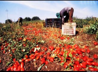 Inclusione sociale in agricoltura