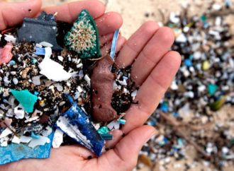 Le microplastiche arrivano nelle acque dell’Artico