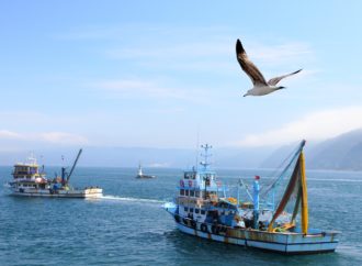 Il mare contro l’abbandono scolastico