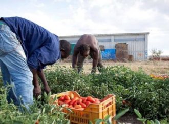 Il fallimento Bellanova su caporalato