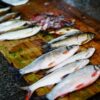 Sicilia, il pesce sequestrato sarà donato ai poveri