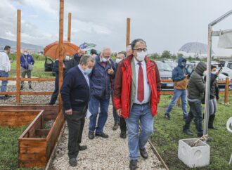 Il Comitato anticamorra Area Nord di Napoli