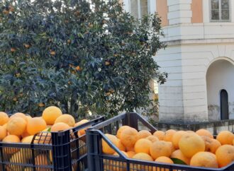 Le confetture del centro antiviolenza