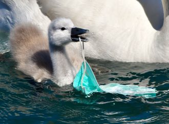 La lotta al Covid frena quella alla plastica